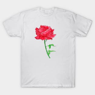 Red Rose T-Shirt